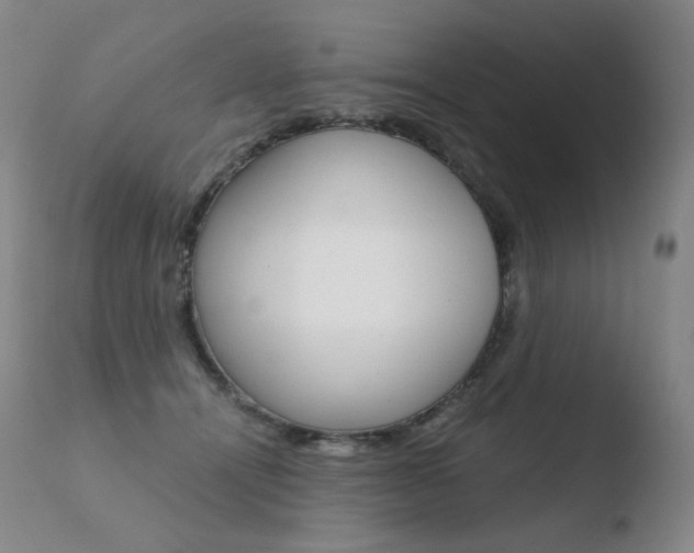 X0000110670464200906121106