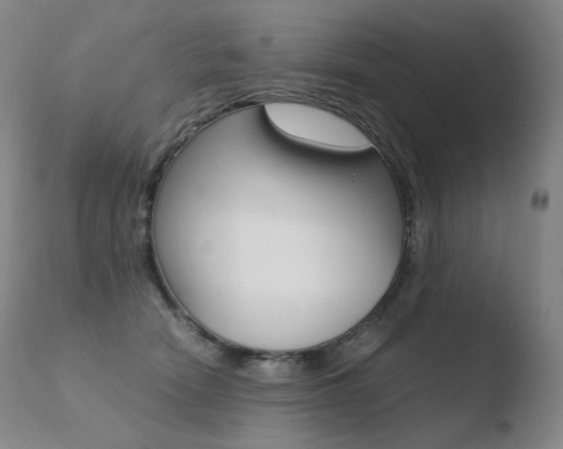 X0000110670466200906121106