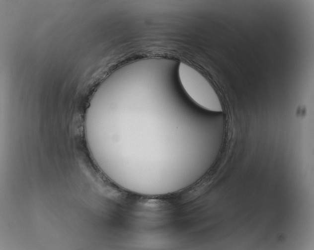 X0000110670467200906121106