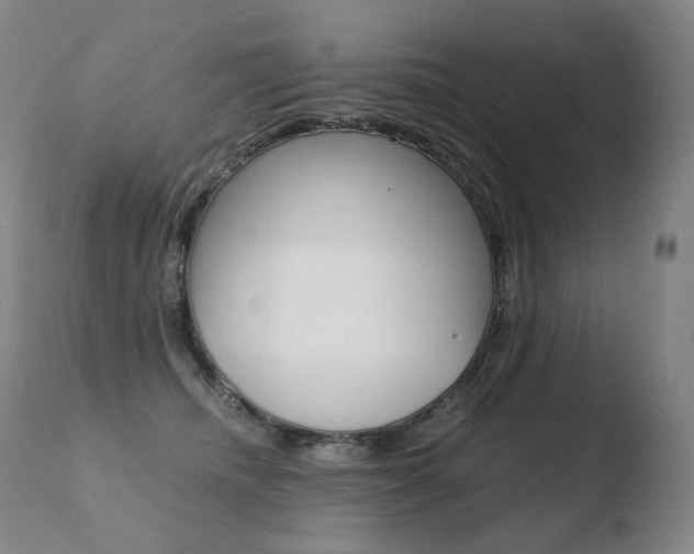 X0000110670468200906121106
