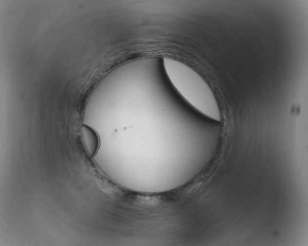 X0000110670469200906121106