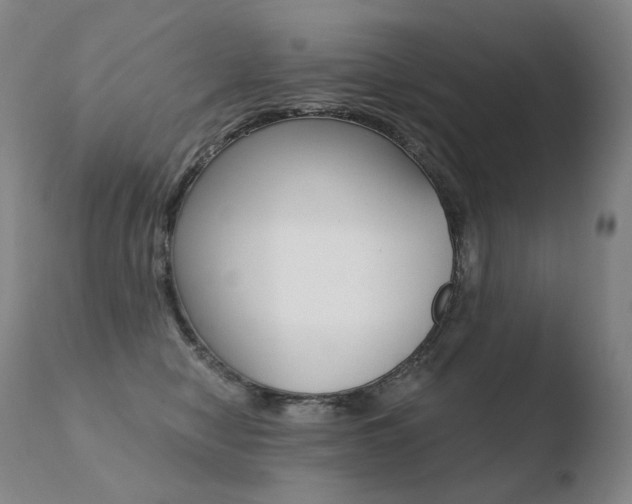 X0000110670470200906121106