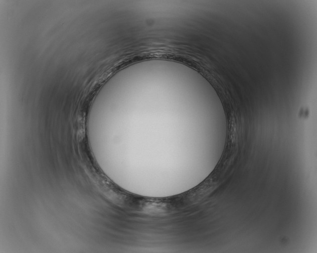 X0000110670471200906121106