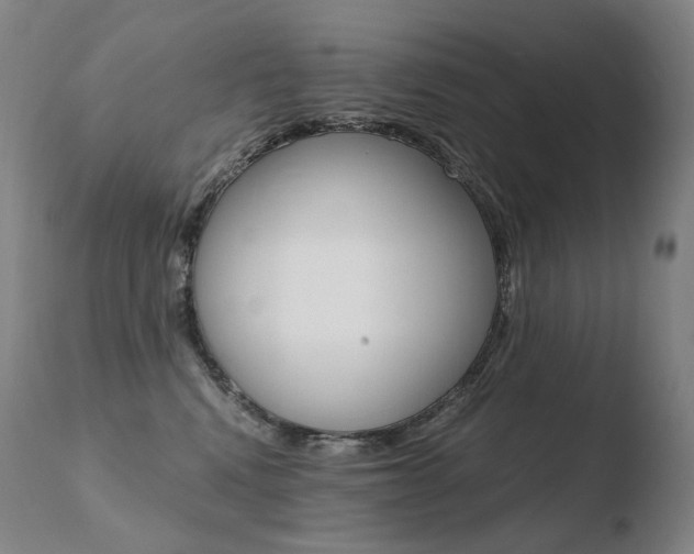 X0000110670472200906121106