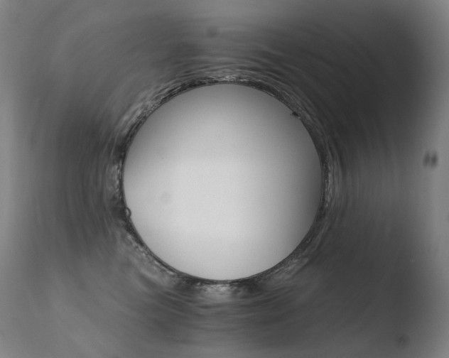 X0000110670473200906121106