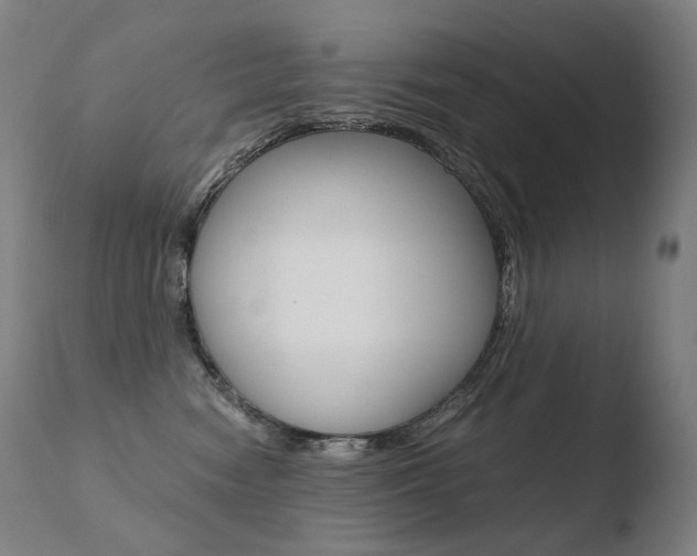 X0000110670474200906121106