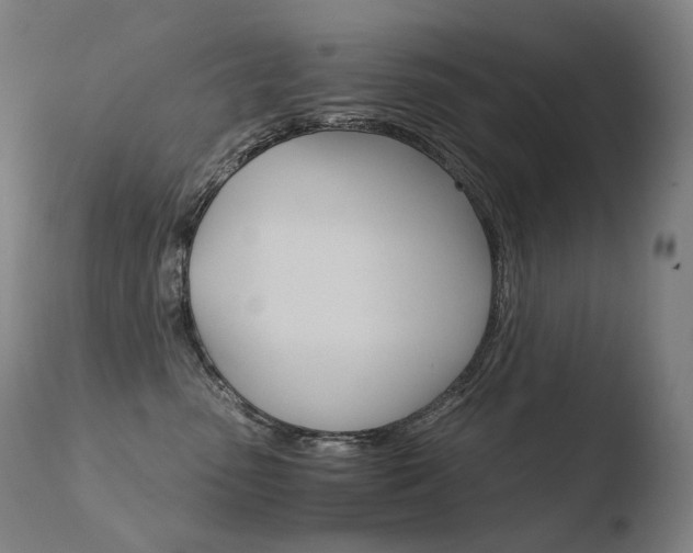 X0000110670475200906121106