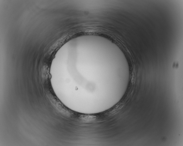 X0000110670476200906121106