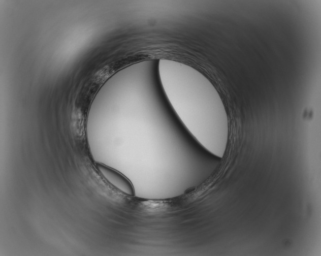 X0000110670477200906121106