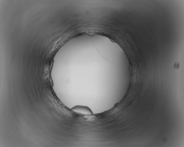 X0000110670478200906121106