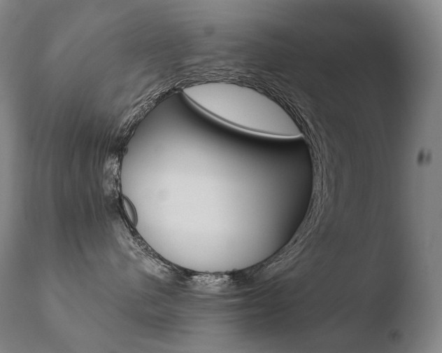 X0000110670480200906121106