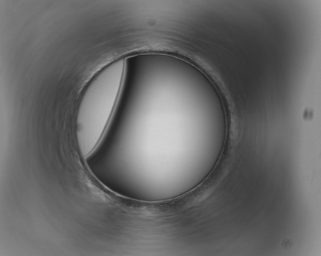 X0000110670481200906121105