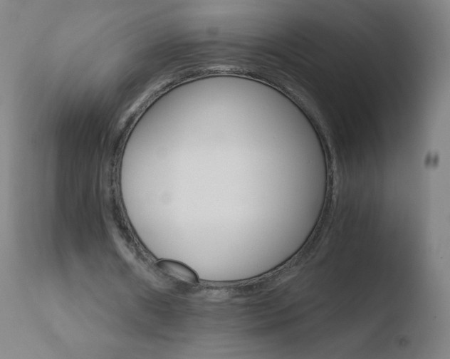 X0000110670482200906121105
