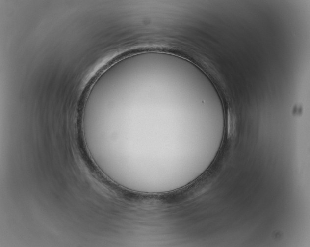 X0000110670483200906121105