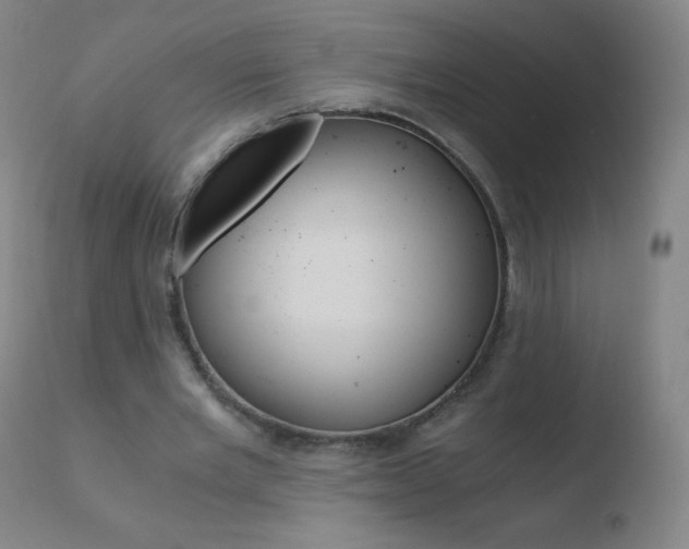 X0000110670485200906121105