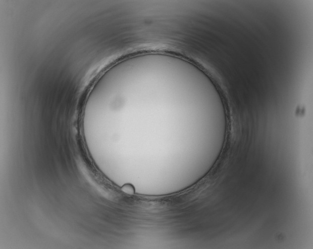 X0000110670486200906121105