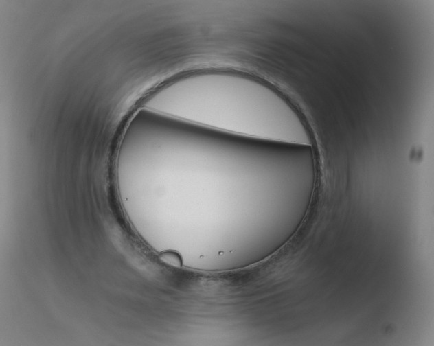 X0000110670487200906121105