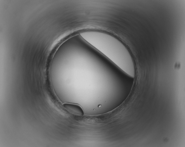 X0000110670488200906121105
