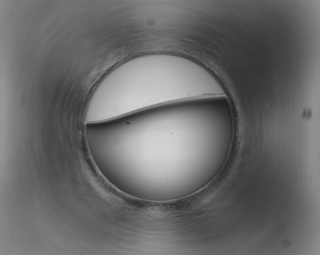 X0000110670489200906121105