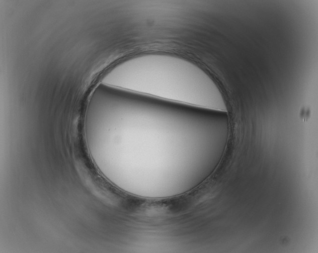 X0000110670491200906121105