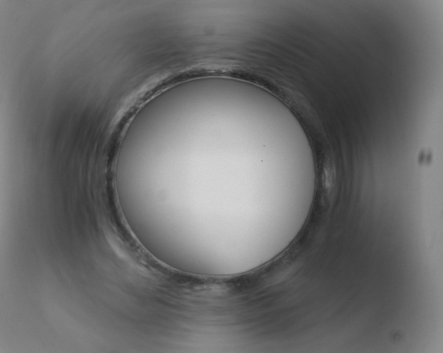 X0000110670492200906121105