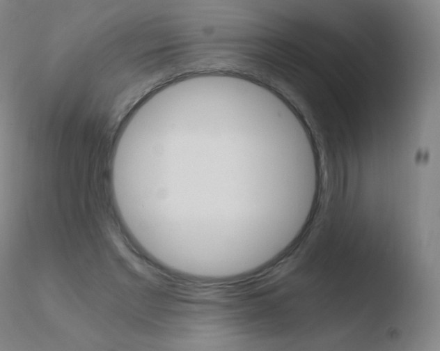 X0000110670493200906121105