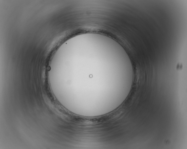 X0000110670494200906121105