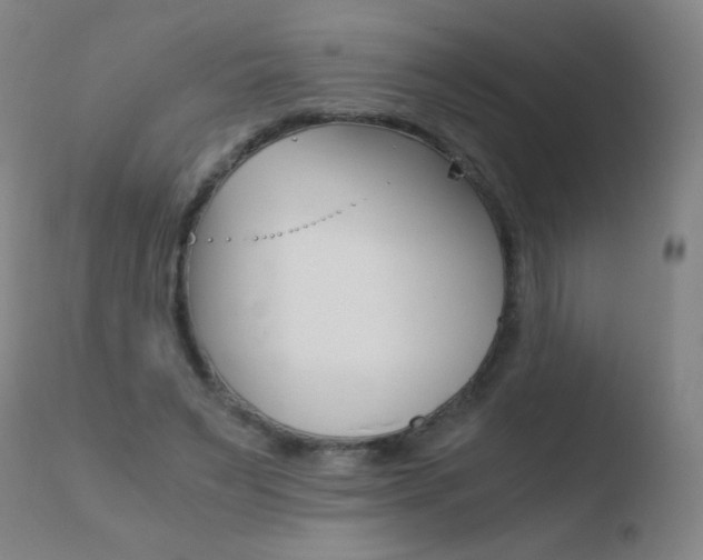 X0000110670495200906121105