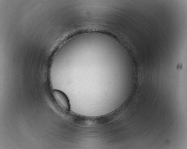X0000110670496200906121105