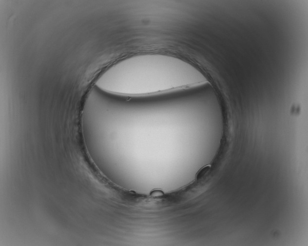 X0000110670497200906121105