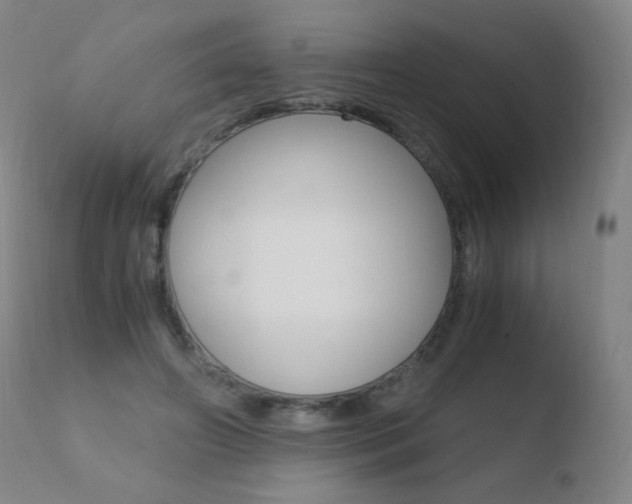 X0000110670498200906121105