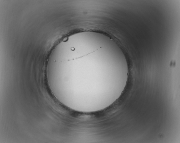 X0000110670499200906121105