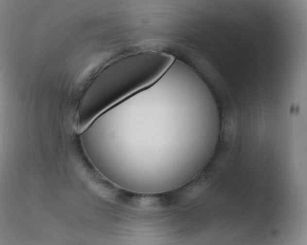 X0000110670501200906121105