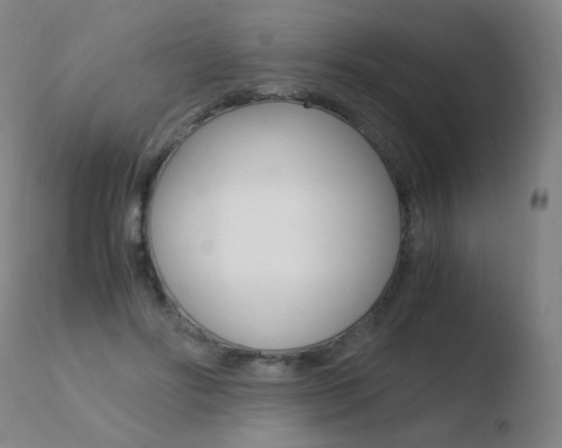 X0000110670502200906121105