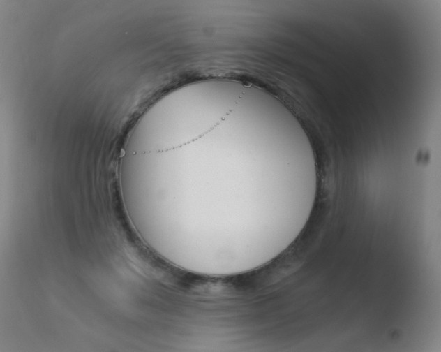X0000110670503200906121105