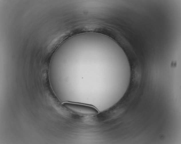 X0000110670505200906121105