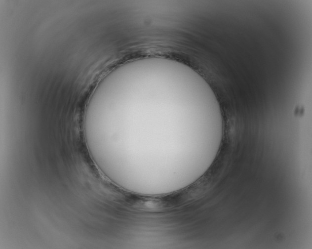 X0000110670506200906121105
