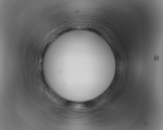 X0000110670507200906121105