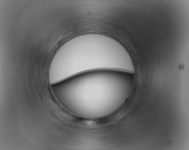 X0000110670509200906121105