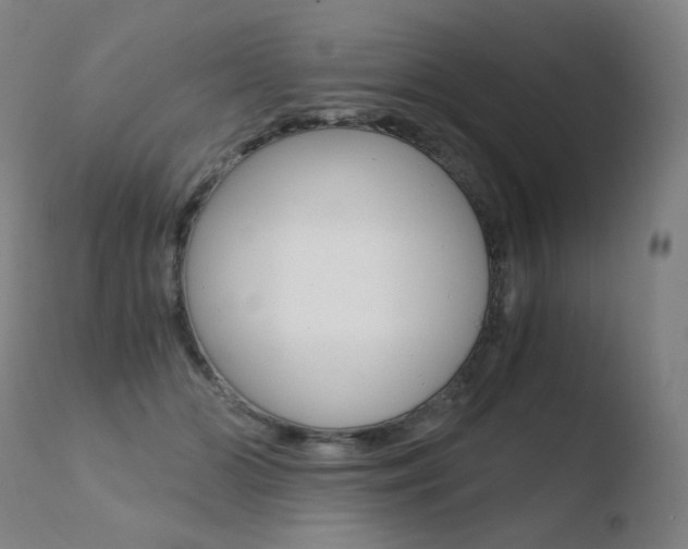 X0000110670510200906121105