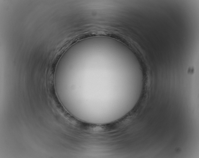 X0000110670513200906121105