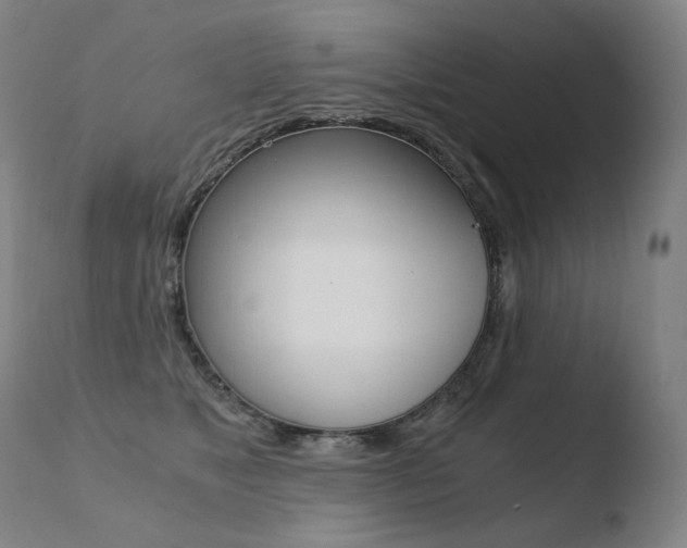 X0000110670517200906121105