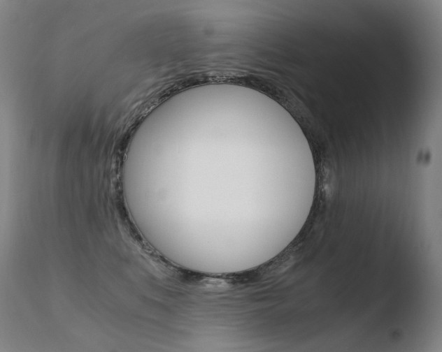 X0000110670519200906121105