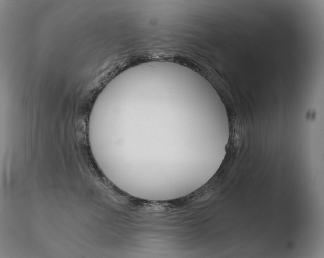 X0000110670523200906121104