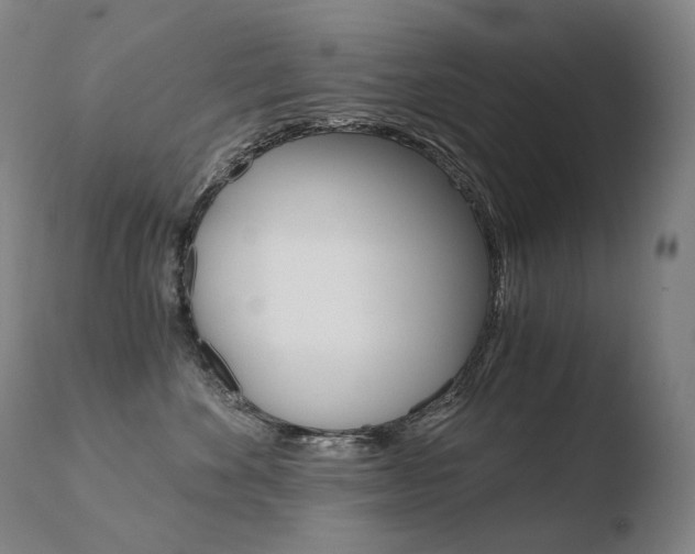 X0000110670524200906121104