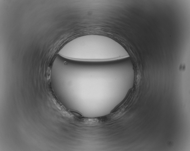 X0000110670525200906121104