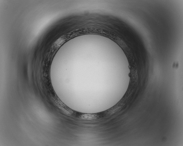 X0000110670526200906121104