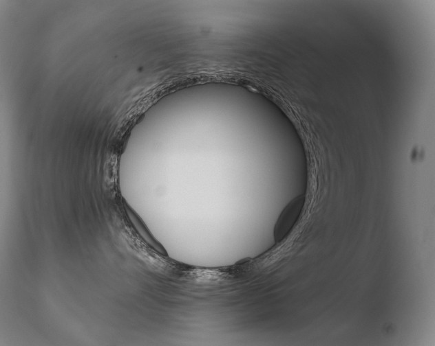X0000110670528200906121104