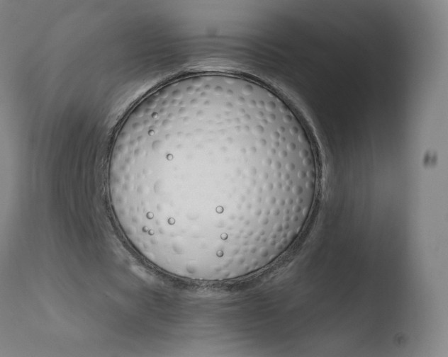 X0000110670529200906121103