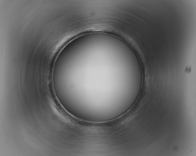 X0000110670530200906121103